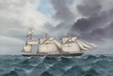 Clipper Ship 