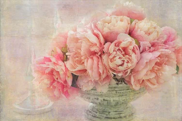 Romantic Pink Peonies