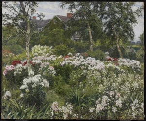 A Garden