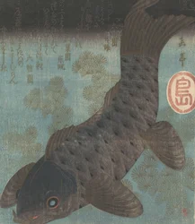 Carp and Pine