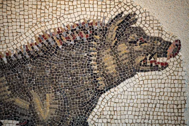 Roman Mosaic