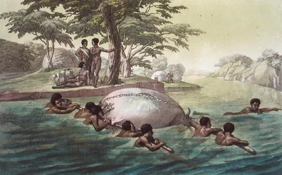 Gingri Tribesmen Crossing the River Zebee, plate 67 from 