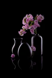 Dark Vases, Pink Flowers