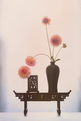 Elegant Dahlia Display
