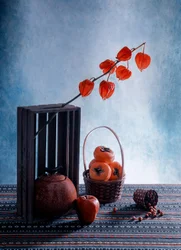 Fruits