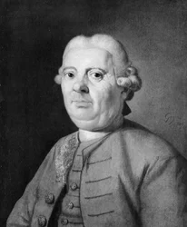 Portrait of a Man
