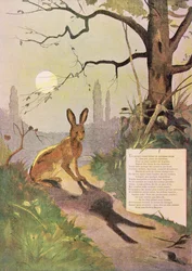 The Ears of the Hare, from Fables by Jean de La Fontaine