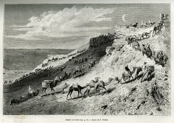 Akabah or Line Up Camels from the Caravan (engraving by G. Vuillier, to illustrate the story 