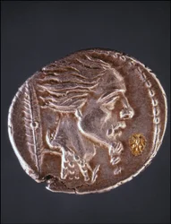Presumed Profile of Vercingetorix on a Gauloise Piece. Museo del Medagliere. Milan