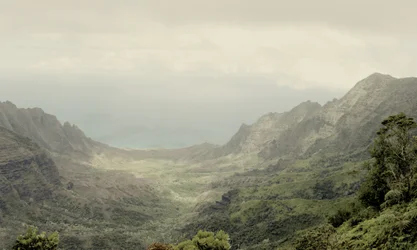 Lush Tropical Valley