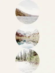 Mountain Lake Forest Stream