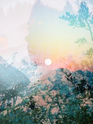 Serene Nature Profile