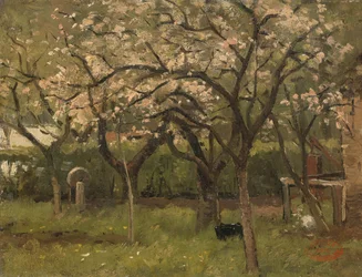 Blossoming Tree in an Orchard