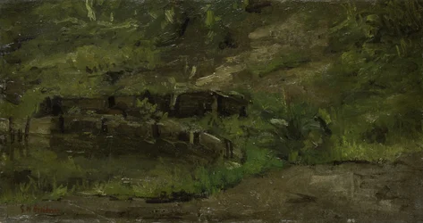 Meadow Landscape