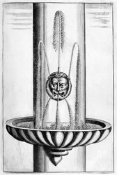 Ornamental fountain design