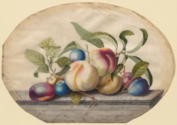 Fruit Arrangement: Peaches and Plums on a Slab of Marble