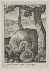 Force Conquered by Subtlety