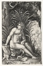 Procris, 1539