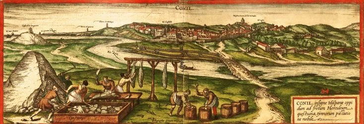 Map Features Skeins