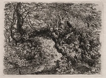 The Old Willow at a Brook, 1794