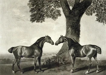 Two Hunters (engraved by G.T. Stubbs)