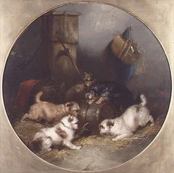 Terriers Ratting in a Barn