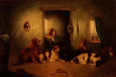 The Kitchen Dogs