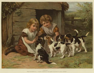 Pups
