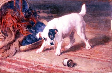 The Pleasures of Youth