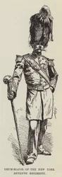 Drum-Major of the New York Seventh Regiment