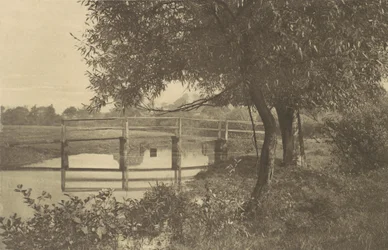 On the Sow near Walton