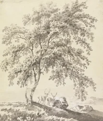 Tree Study with Stags (Landscape)