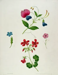 An illustration from 