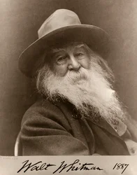 Portrait of Walt Whitman in 1887