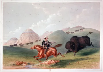 Bison Hunt in North America - lithography by Georges Catlin