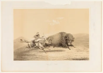 Buffalo Hunt, Chase--No. 5