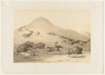 Buffalo Hunt, Chase--no. 6