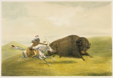 Buffalo Hunt Chase