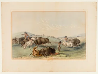 Buffalo Hunt, Chase No. 7