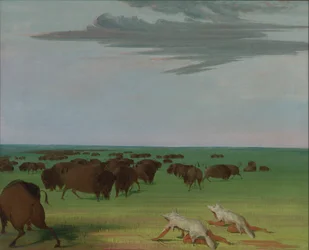 Buffalo Hunt under the Wolf-skin Mask, 1832-1833