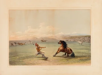 Catching the Wild Horse--no. 4