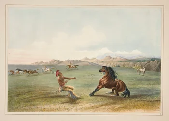 Catching the Wild Horse, plate 4 from the North American Indian Portfolio