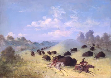 Comanche Indians Chasing Buffalo with Lances and Bows