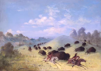 Comanche Indians Chasing Buffalo with Lances and Bows, 1846-1848