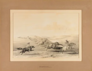 Indians Hunting Buffalo