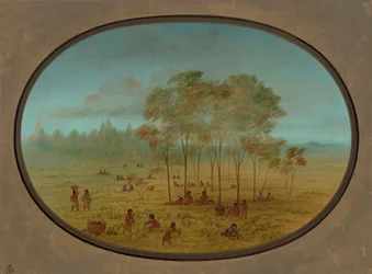 Kiowa Indians Gathering Wild Grapes