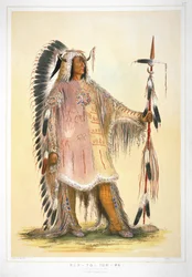 Mah-to-toh-pa, The Mandan Chief