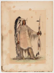 Mah-to-toh-pa, the Mandan Chief