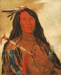 Né-hee-ó-ee-wóo-tis, Wolf on the Hill, Chief of the Tribe