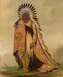 Wán-ee-ton, Chief of the Tribe